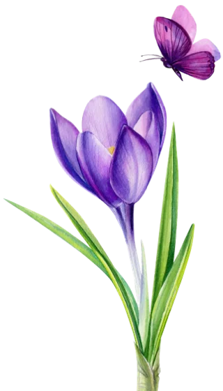 footer flower